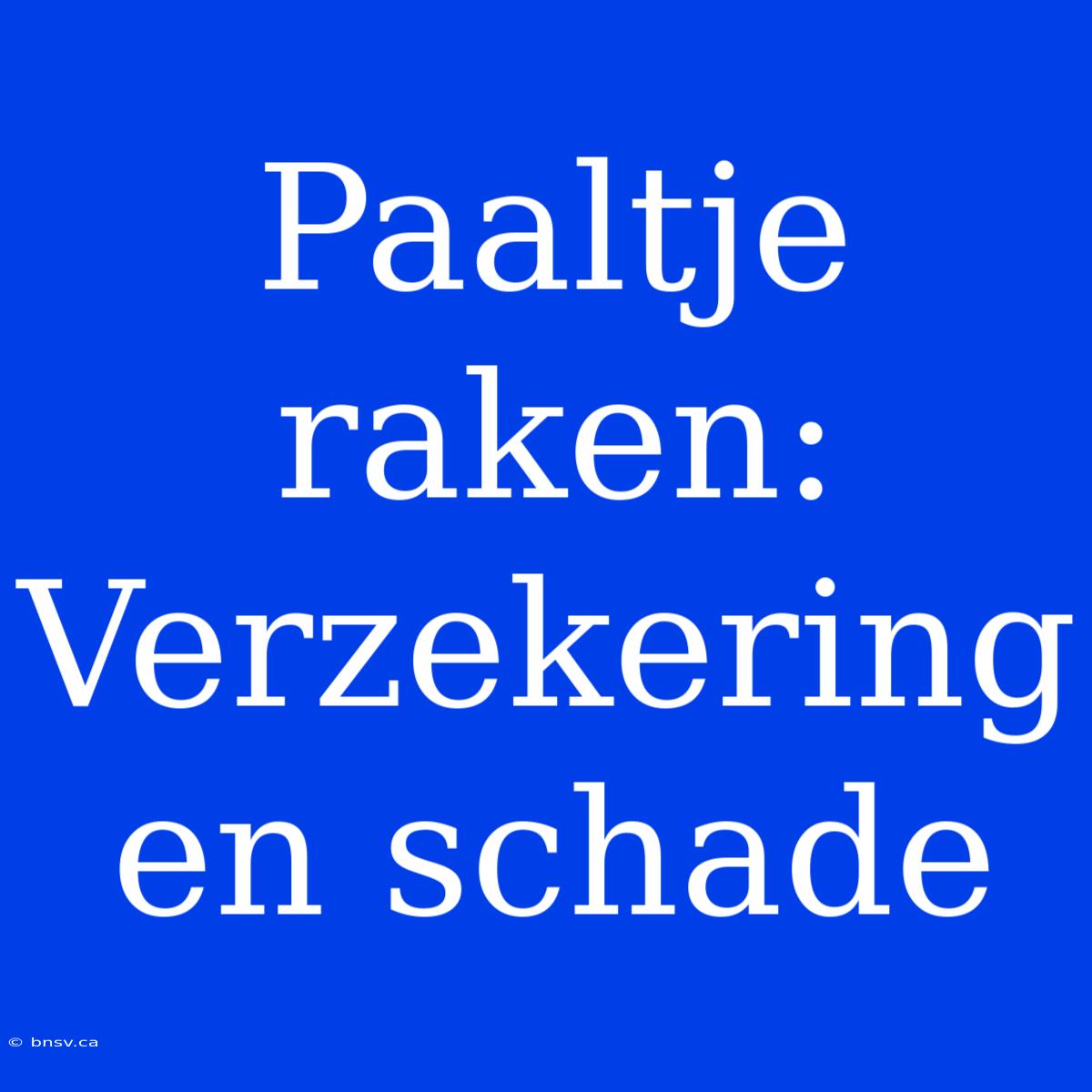 Paaltje Raken: Verzekering En Schade