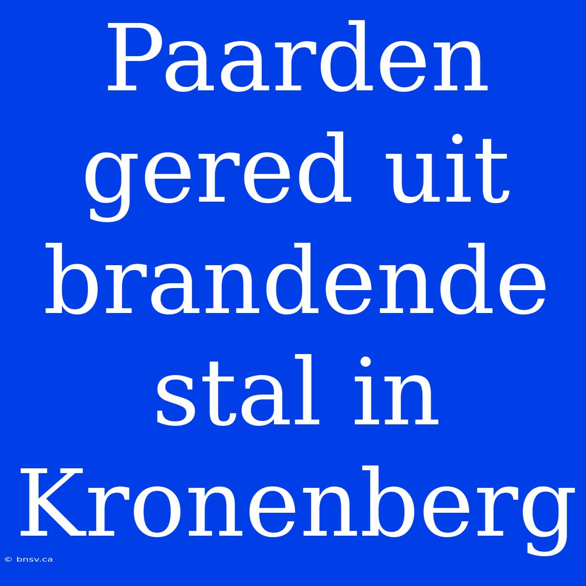 Paarden Gered Uit Brandende Stal In Kronenberg