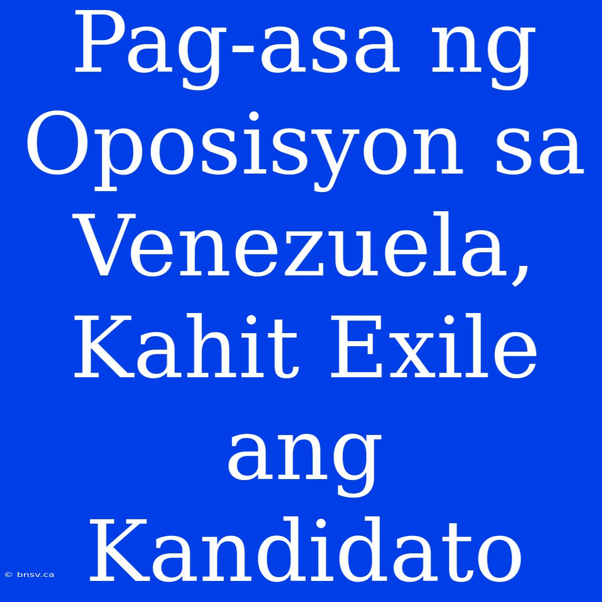 Pag-asa Ng Oposisyon Sa Venezuela, Kahit Exile Ang Kandidato