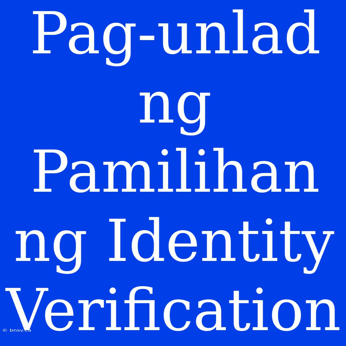 Pag-unlad Ng Pamilihan Ng Identity Verification