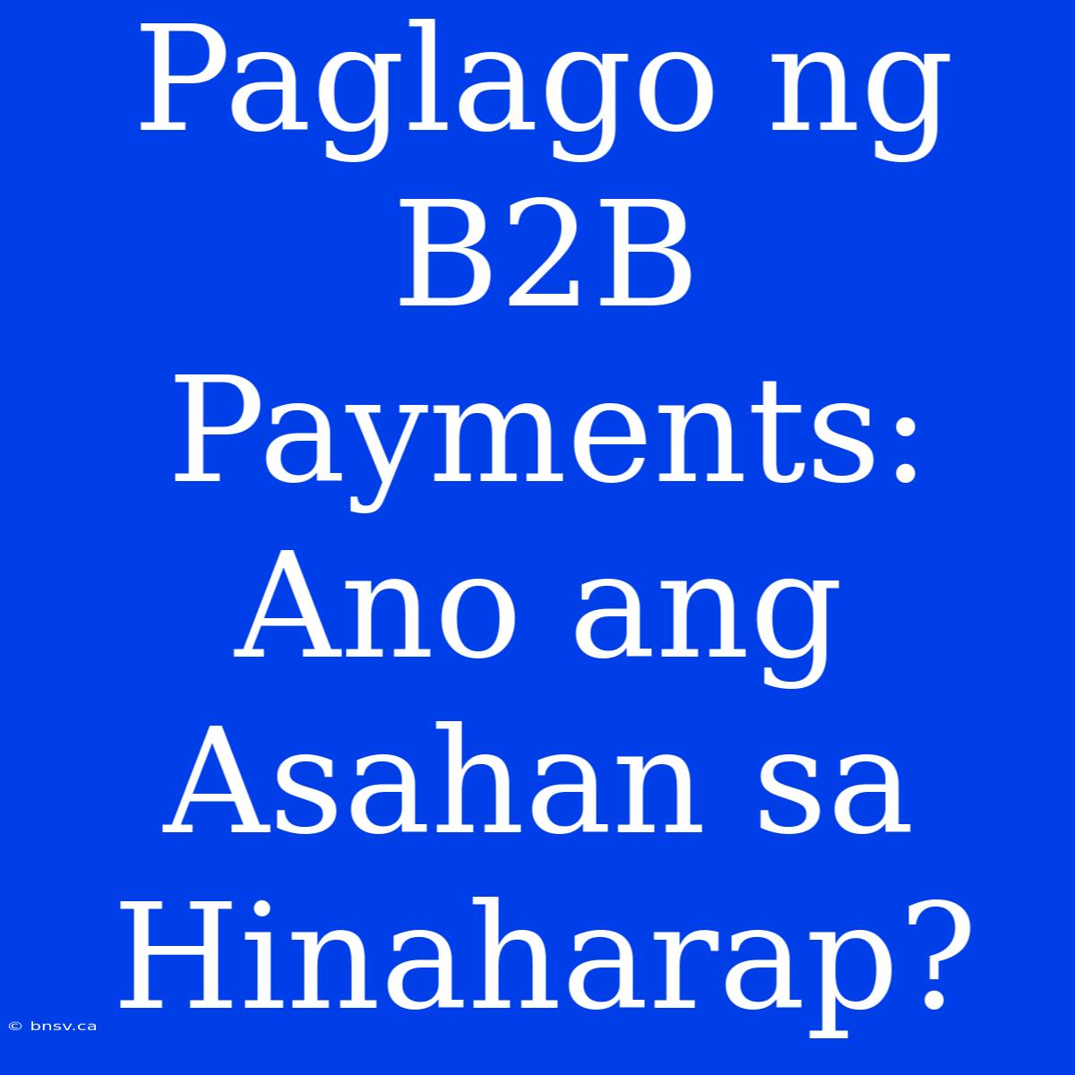 Paglago Ng B2B Payments: Ano Ang Asahan Sa Hinaharap?