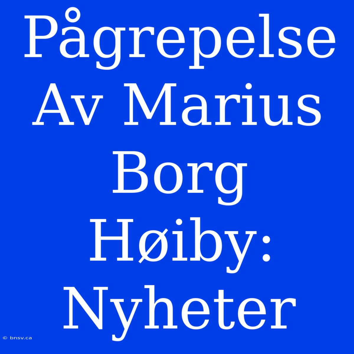 Pågrepelse Av Marius Borg Høiby: Nyheter