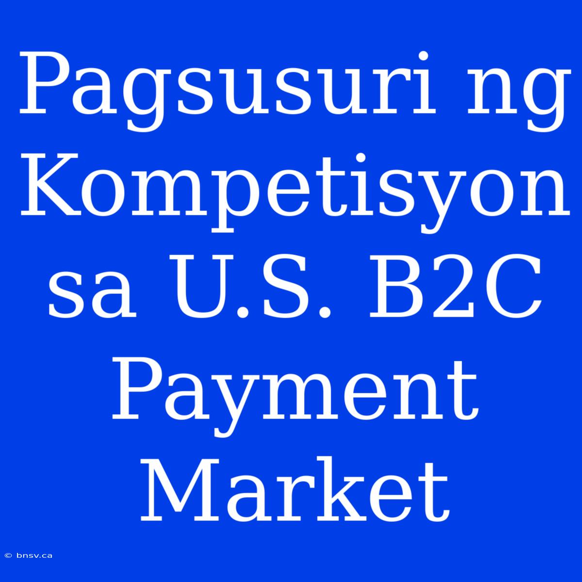 Pagsusuri Ng Kompetisyon Sa U.S. B2C Payment Market