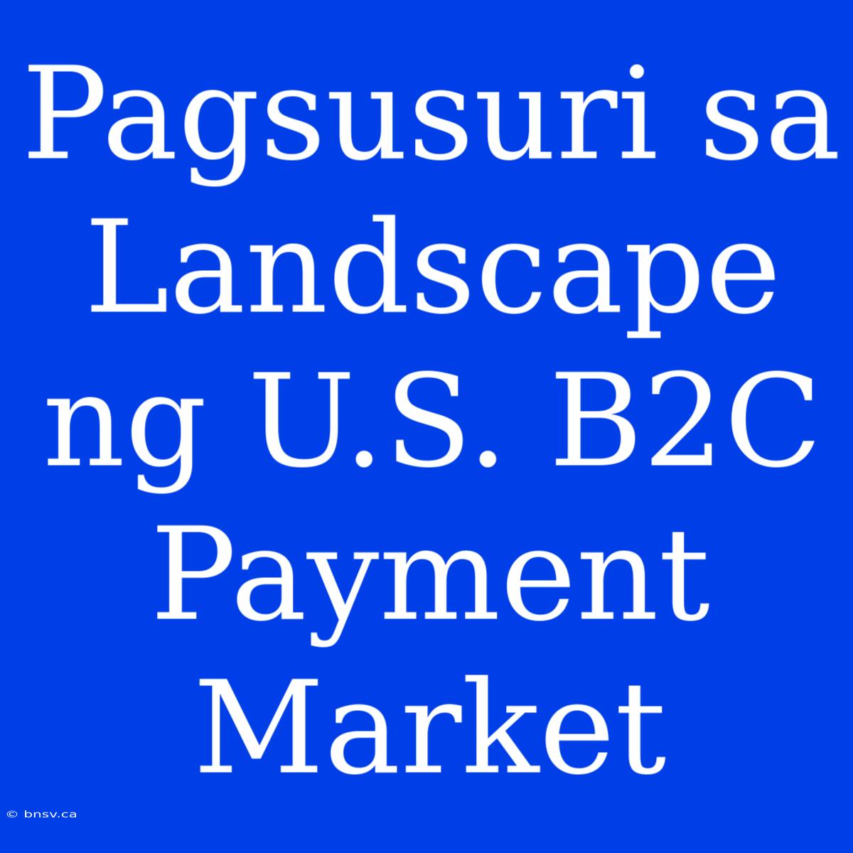 Pagsusuri Sa Landscape Ng U.S. B2C Payment Market