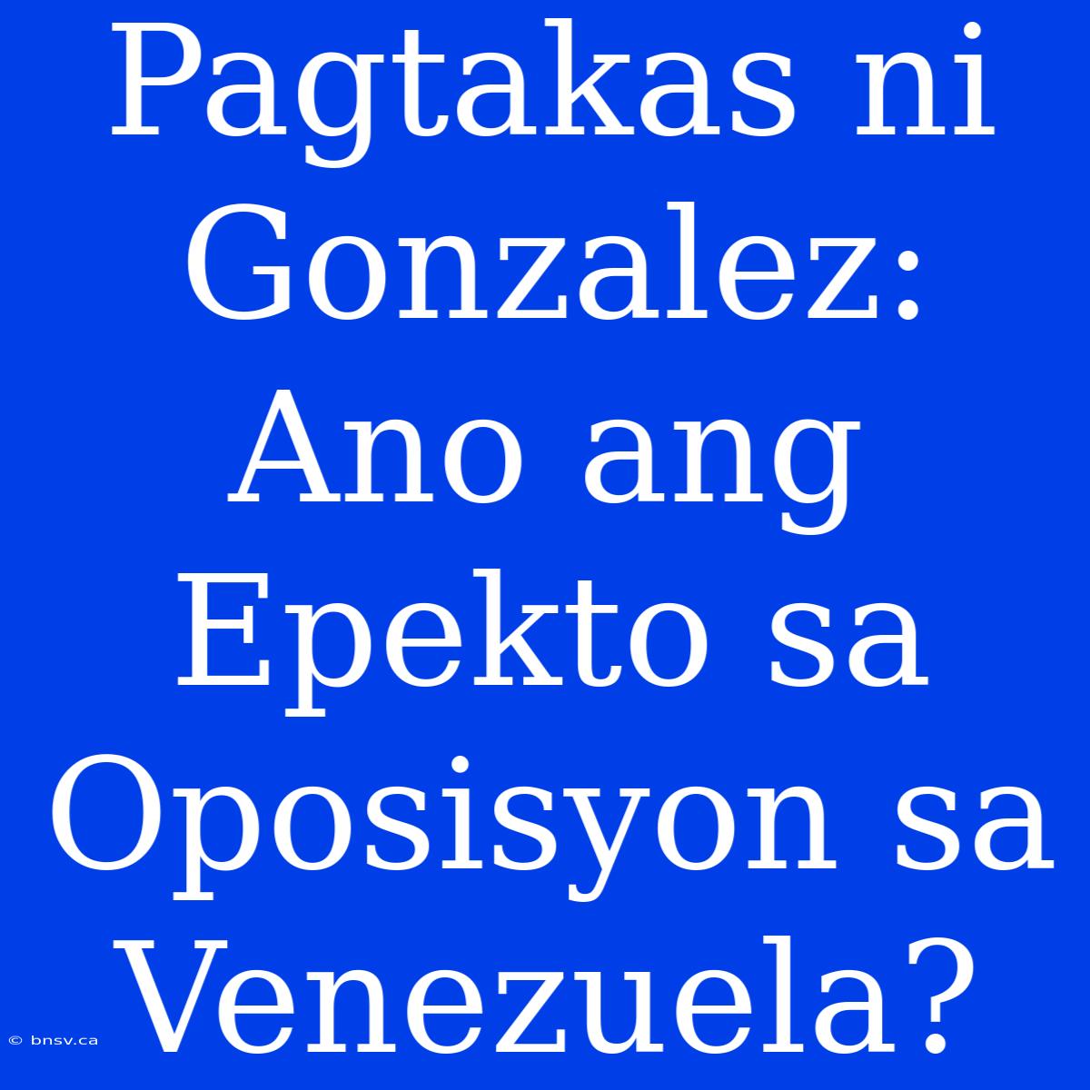 Pagtakas Ni Gonzalez: Ano Ang Epekto Sa Oposisyon Sa Venezuela?