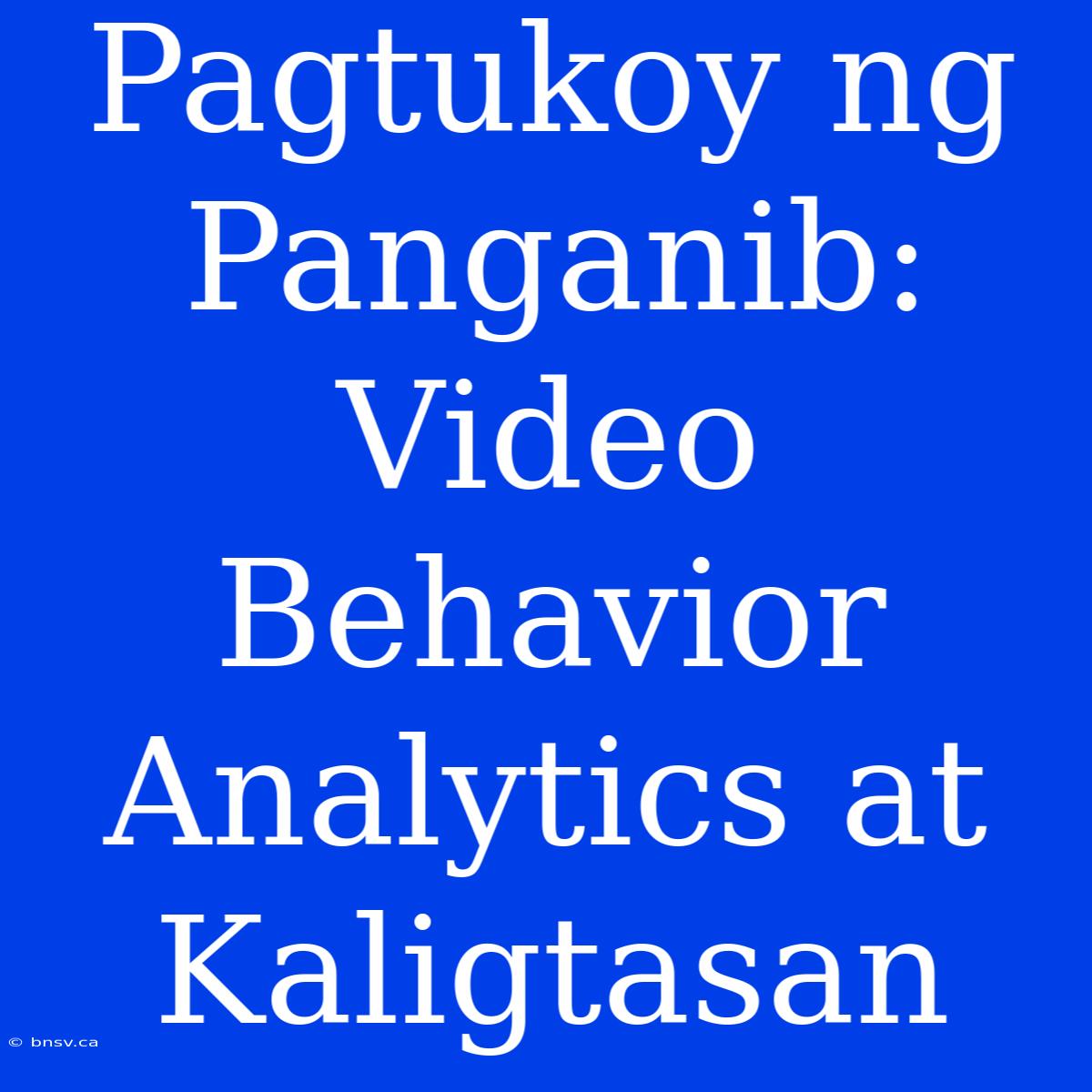 Pagtukoy Ng Panganib: Video Behavior Analytics At Kaligtasan