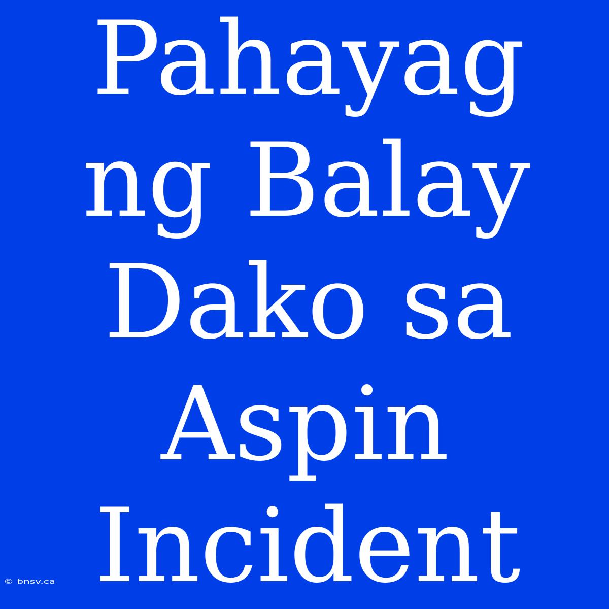 Pahayag Ng Balay Dako Sa Aspin Incident