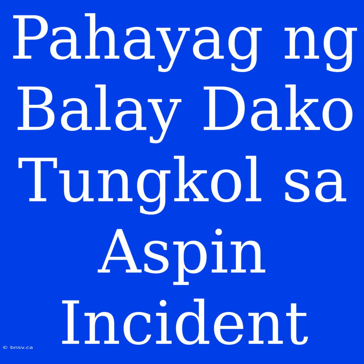 Pahayag Ng Balay Dako Tungkol Sa Aspin Incident