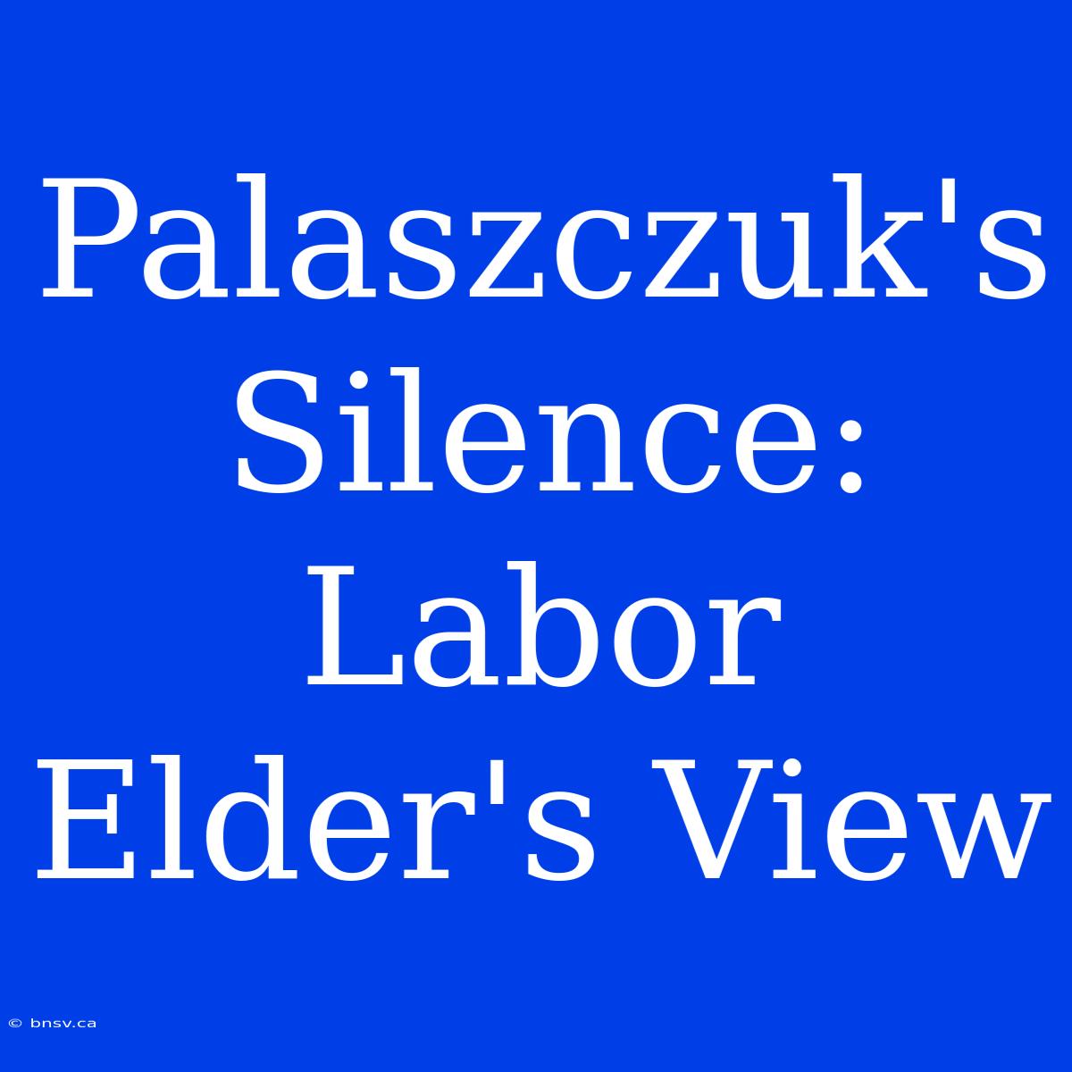 Palaszczuk's Silence: Labor Elder's View