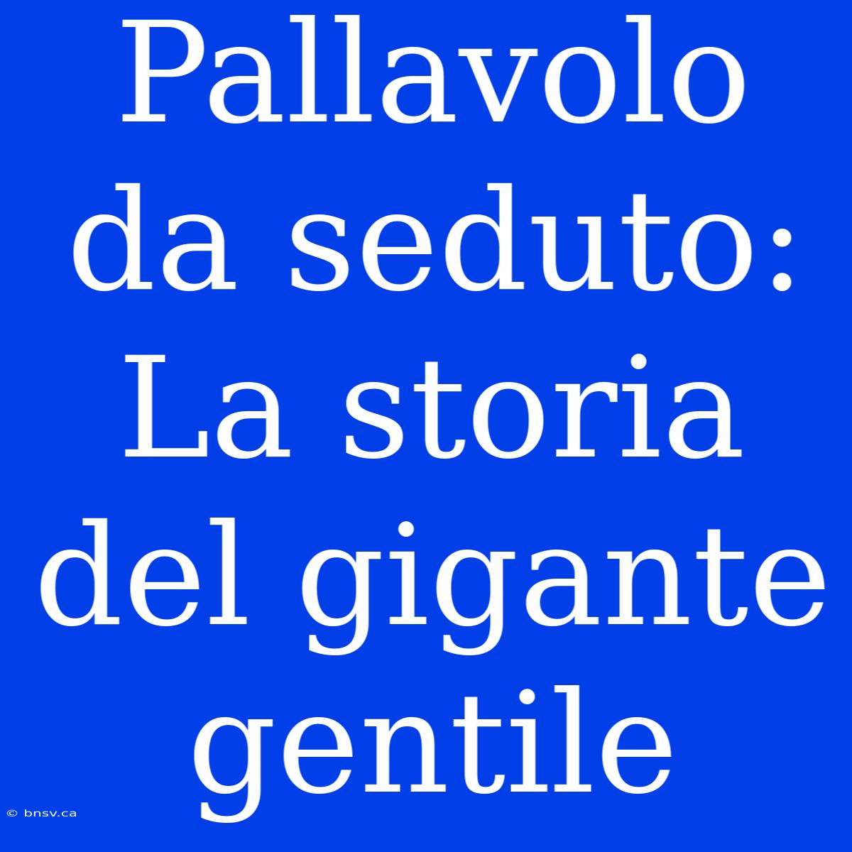 Pallavolo Da Seduto: La Storia Del Gigante Gentile