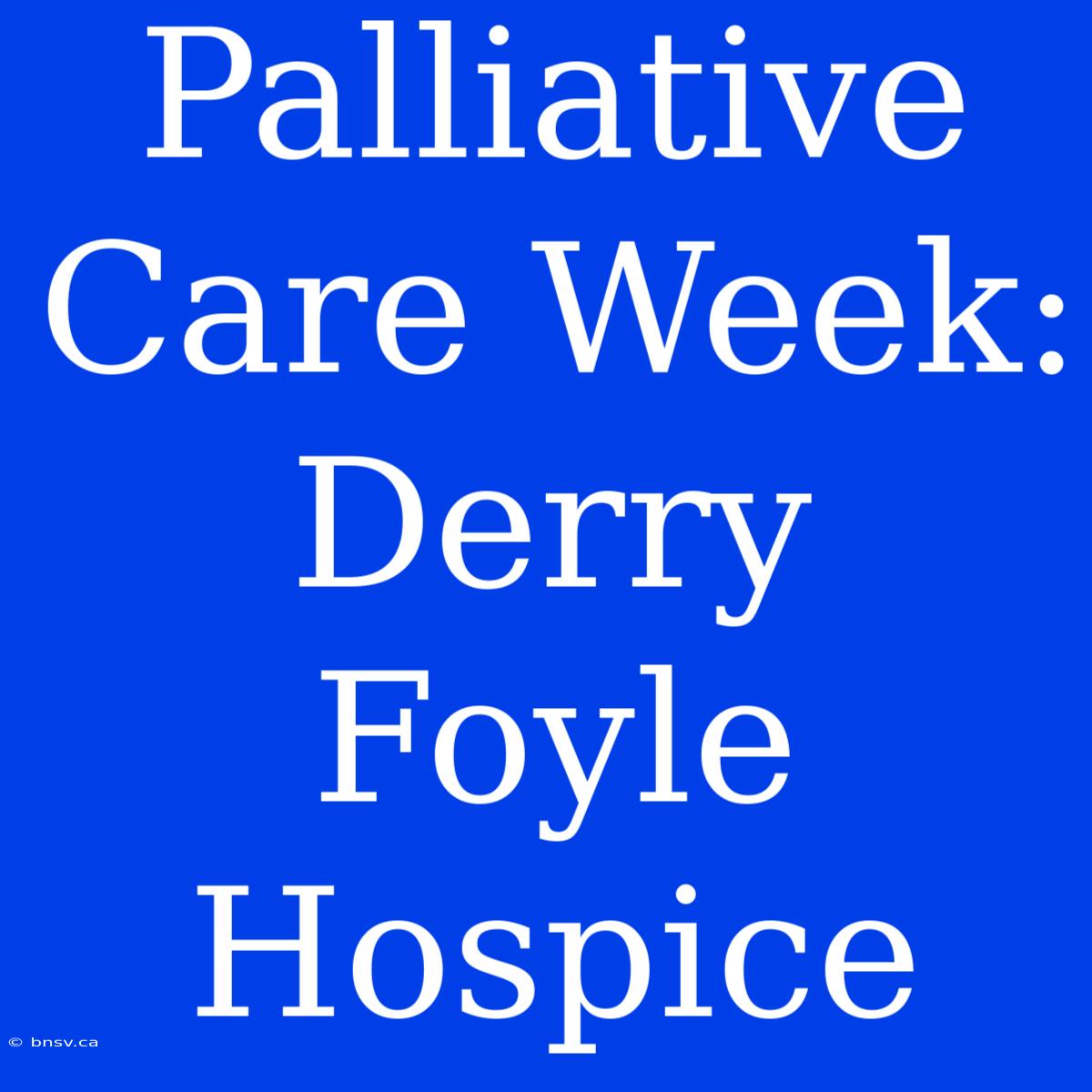 Palliative Care Week: Derry Foyle Hospice