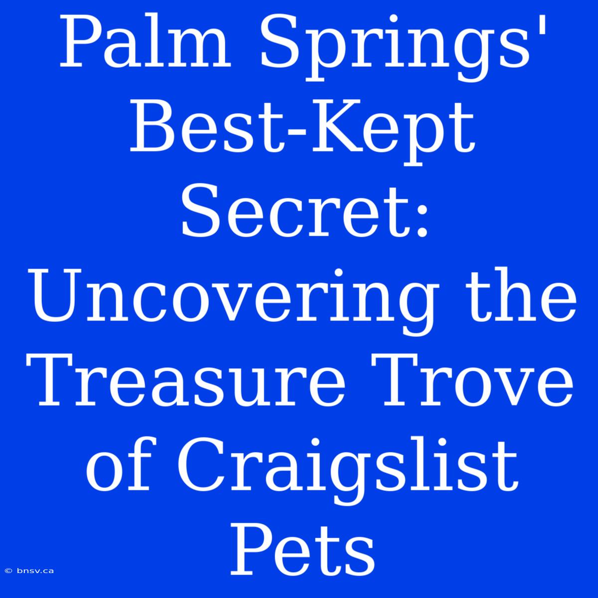 Palm Springs' Best-Kept Secret: Uncovering The Treasure Trove Of Craigslist Pets