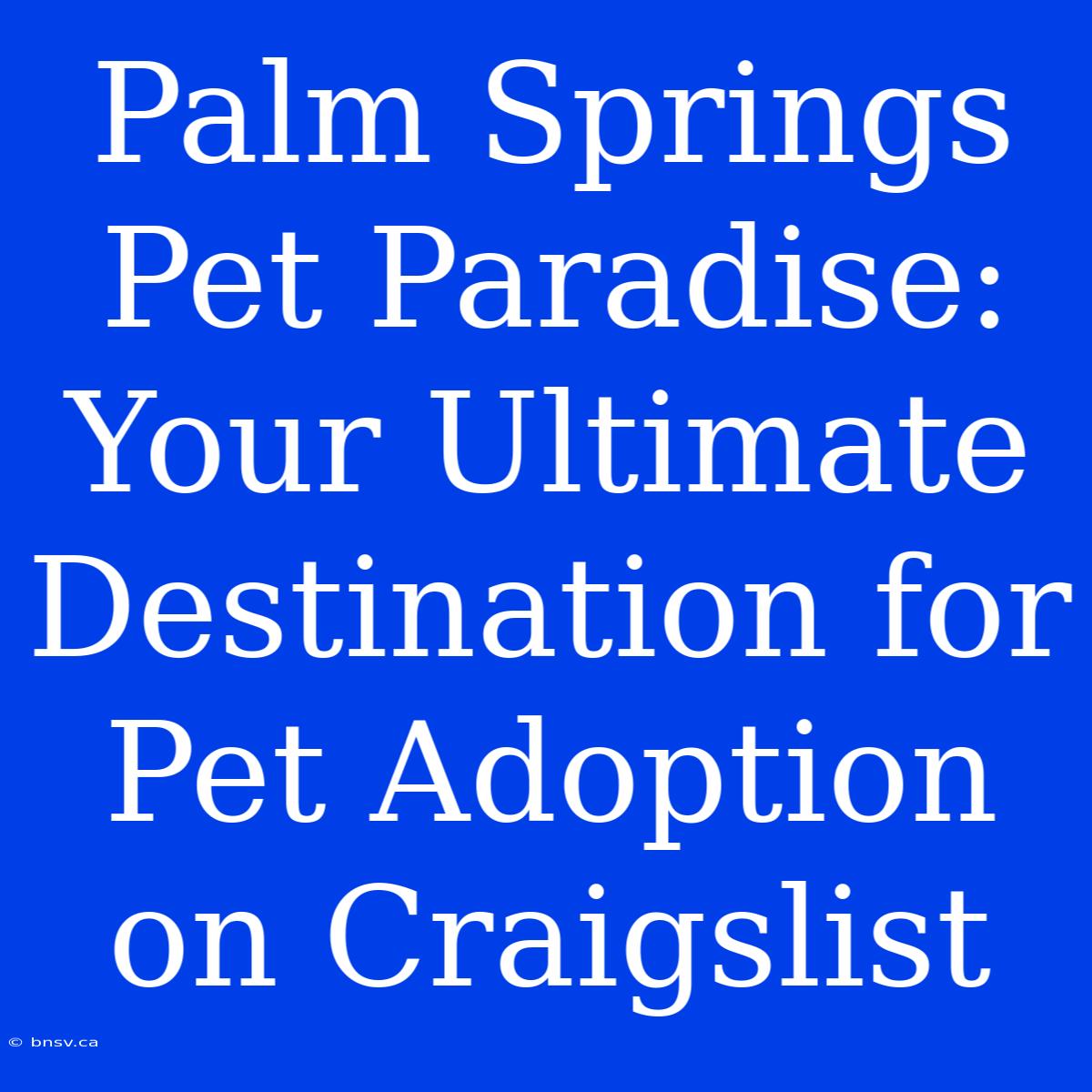 Palm Springs Pet Paradise: Your Ultimate Destination For Pet Adoption On Craigslist