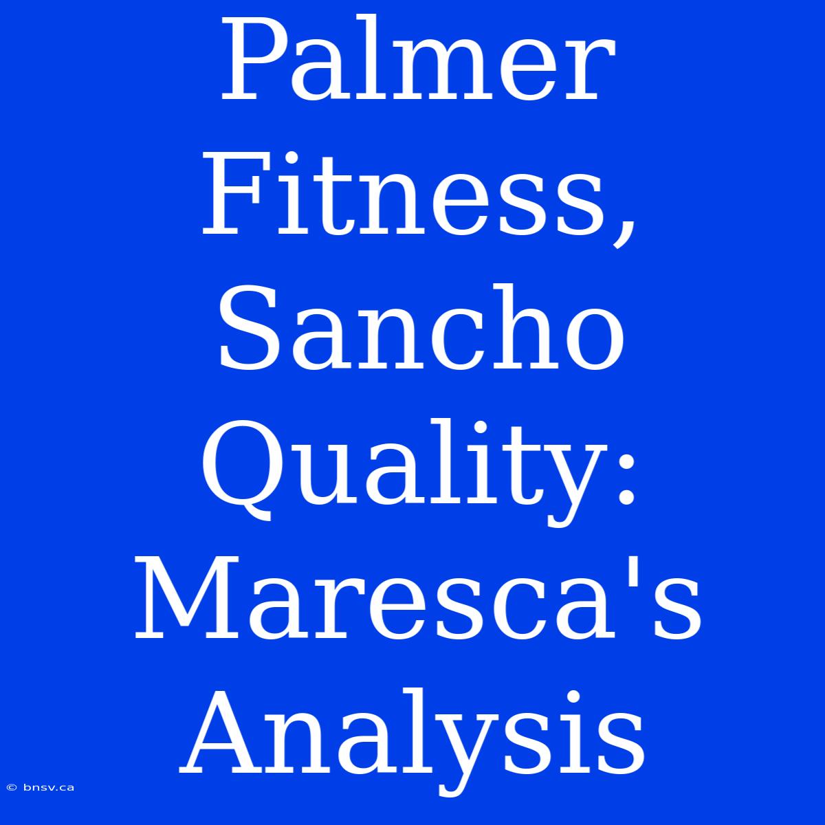 Palmer Fitness, Sancho Quality: Maresca's Analysis