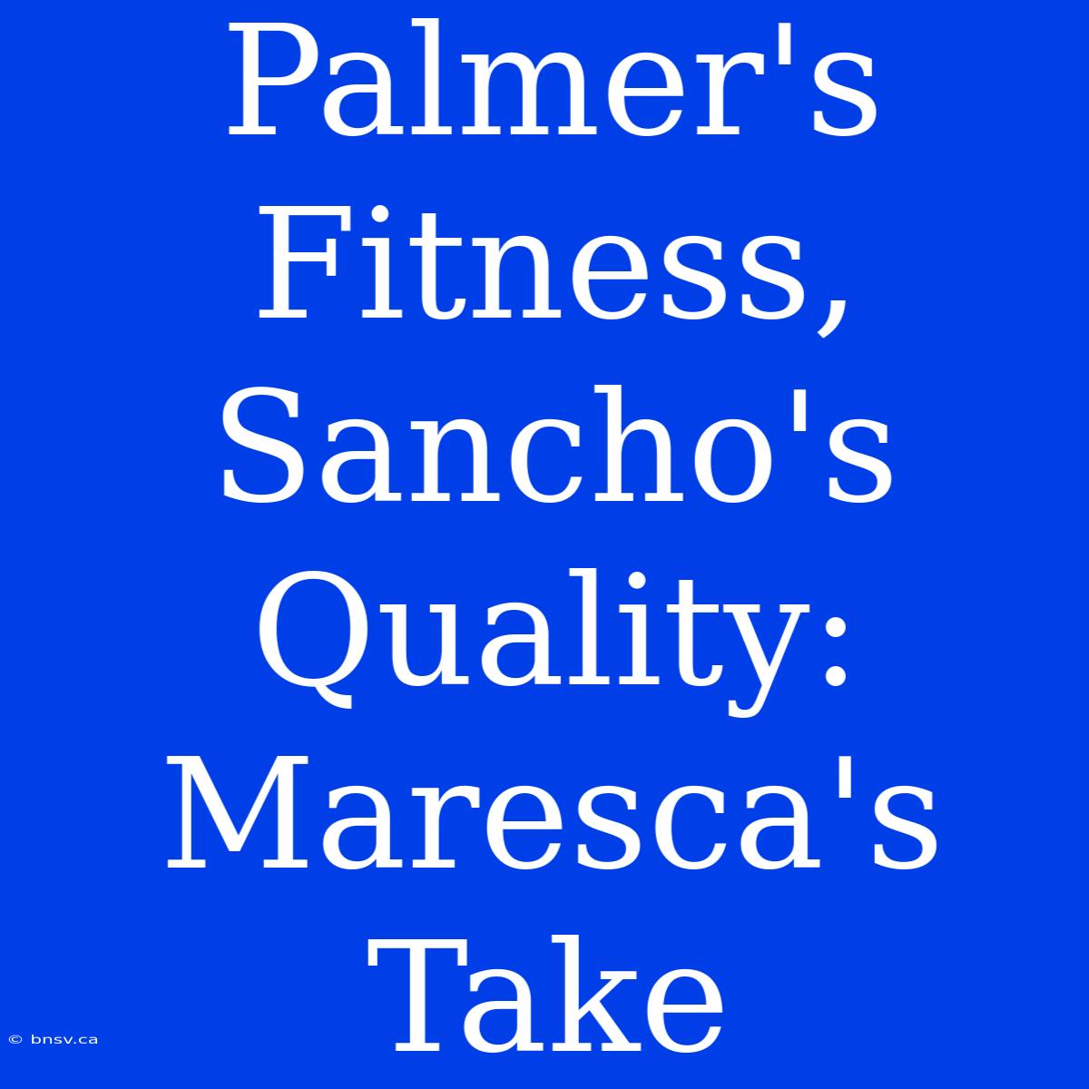 Palmer's Fitness, Sancho's Quality: Maresca's Take