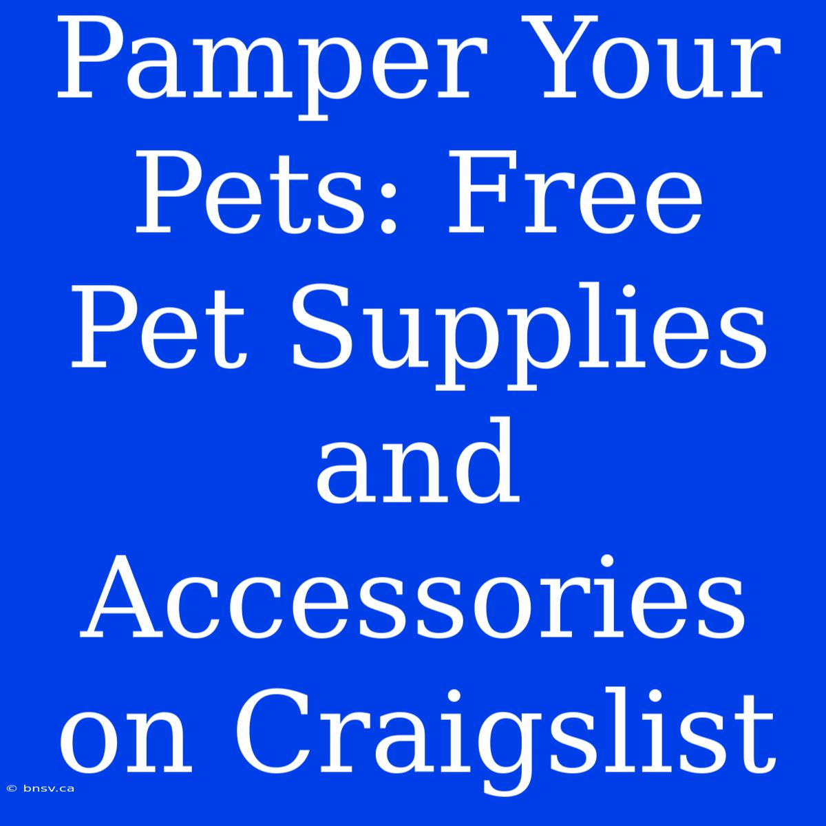 Pamper Your Pets: Free Pet Supplies And Accessories On Craigslist