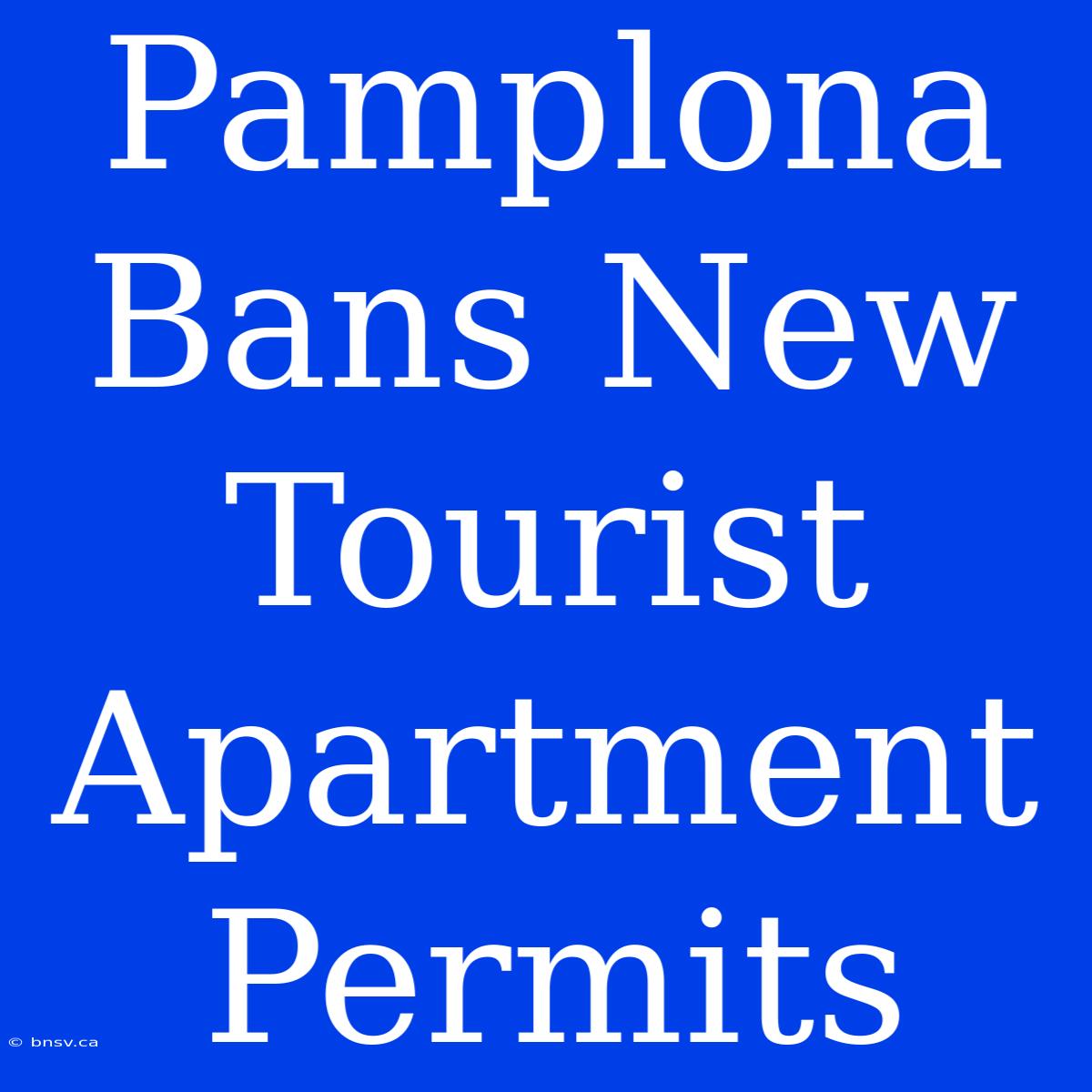 Pamplona Bans New Tourist Apartment Permits