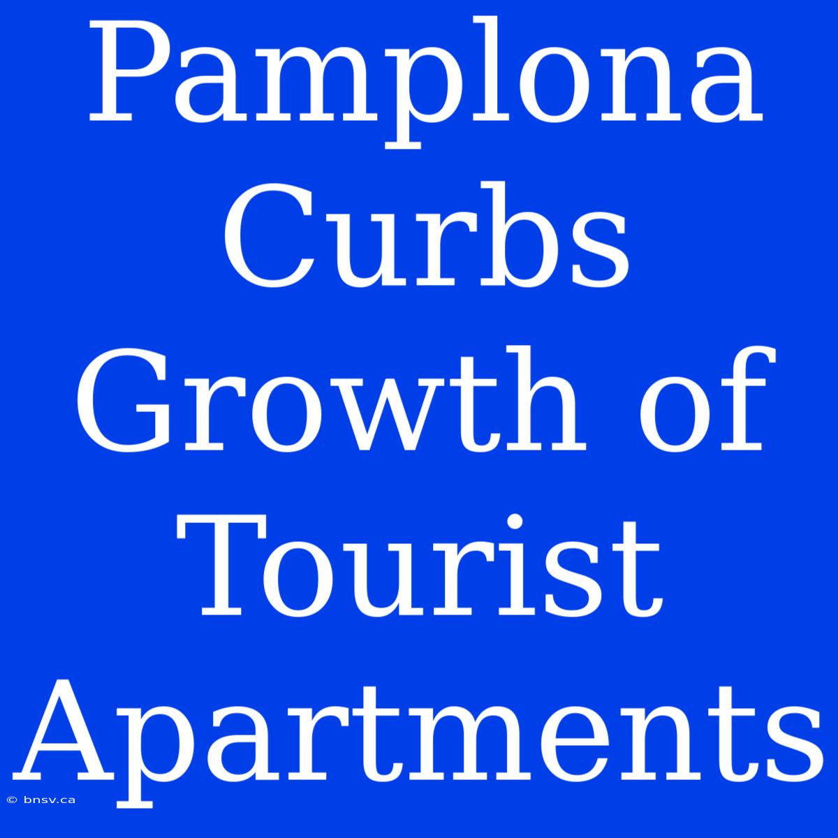 Pamplona Curbs Growth Of Tourist Apartments