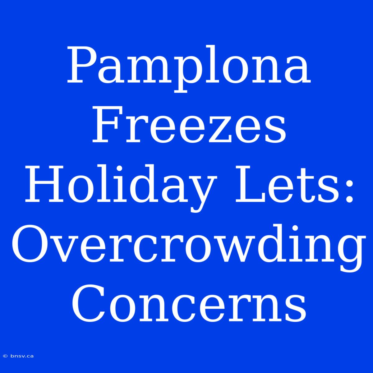 Pamplona Freezes Holiday Lets: Overcrowding Concerns