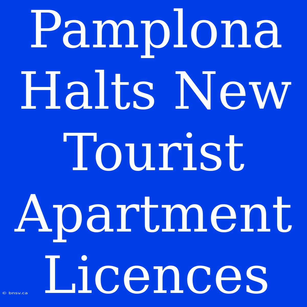 Pamplona Halts New Tourist Apartment Licences