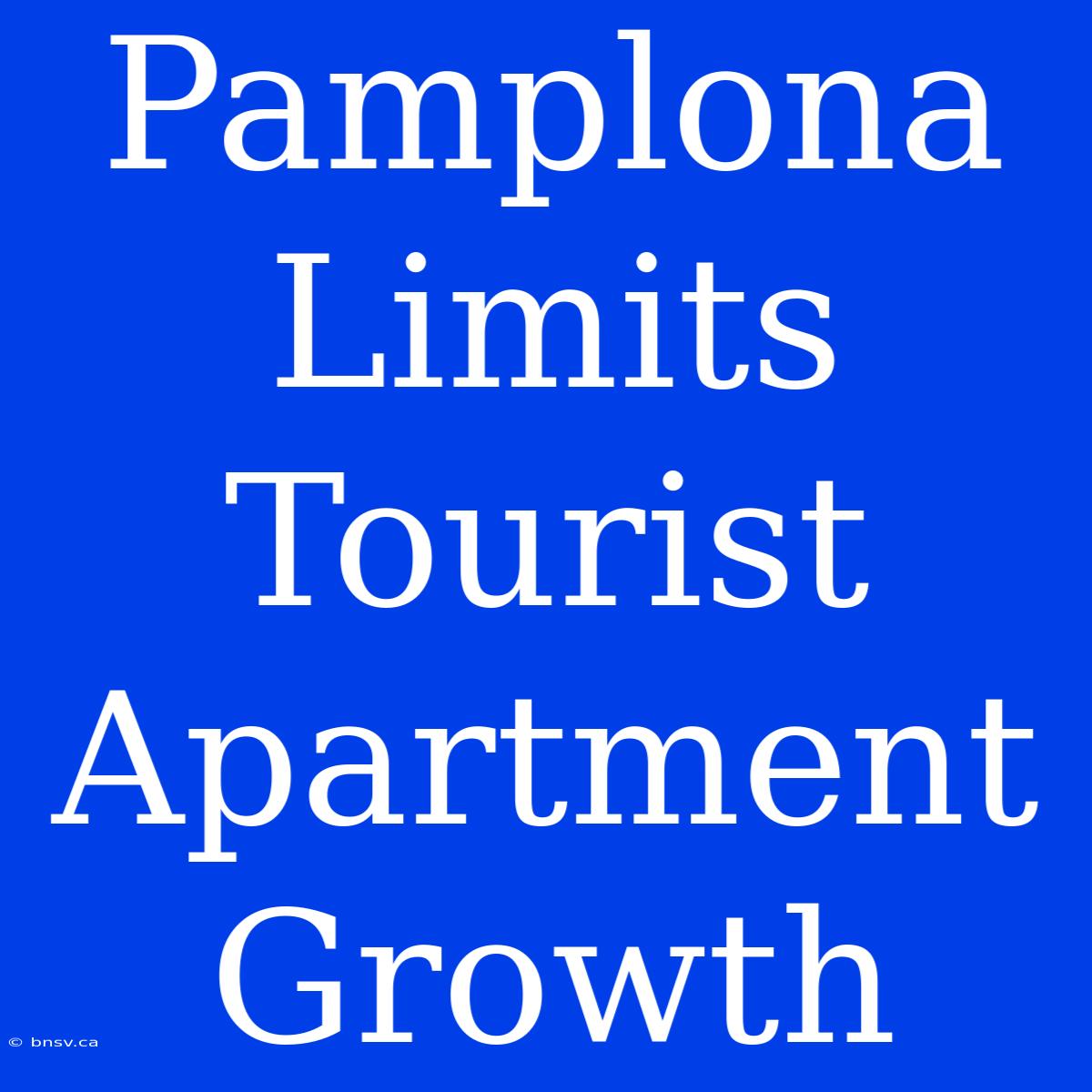 Pamplona Limits Tourist Apartment Growth