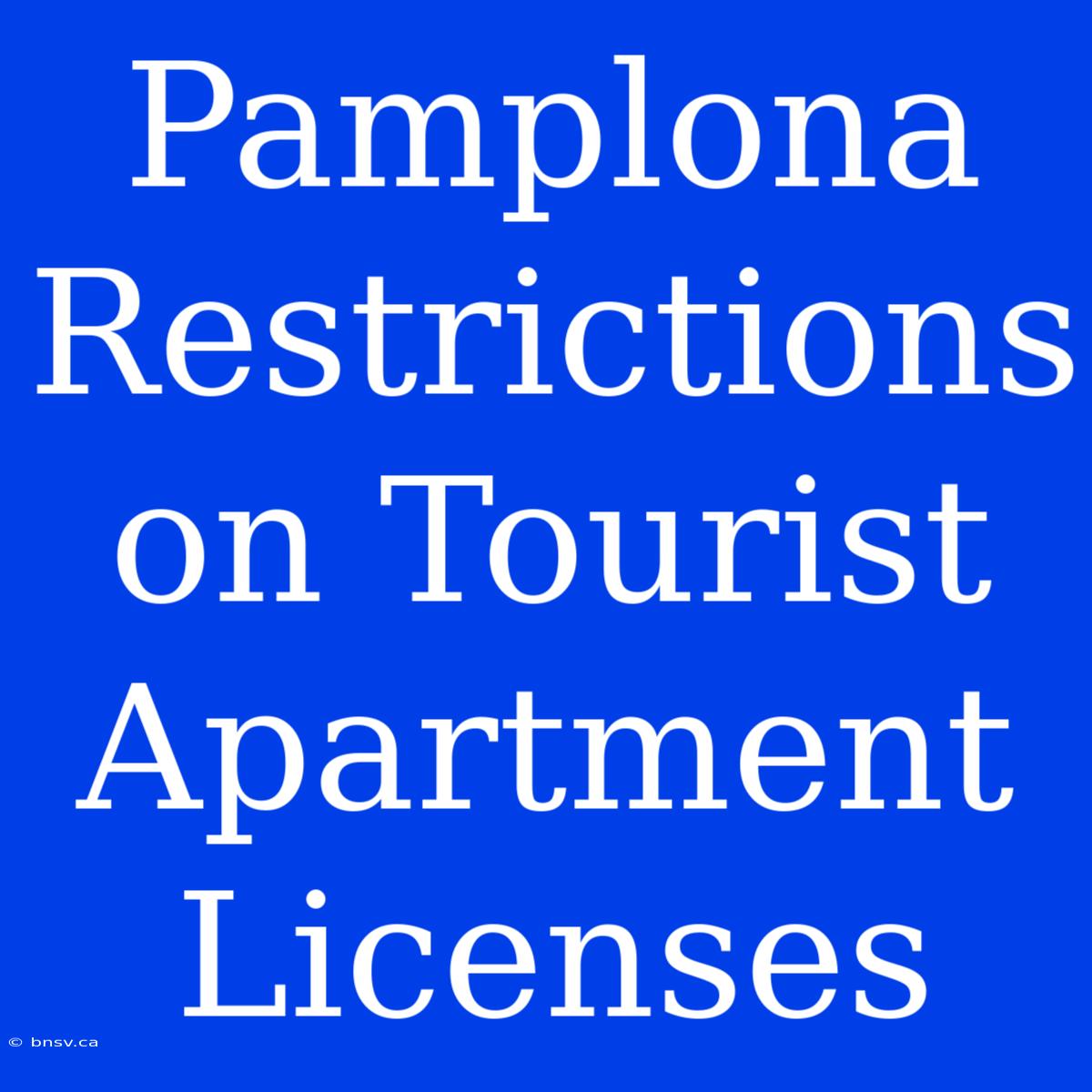 Pamplona Restrictions On Tourist Apartment Licenses