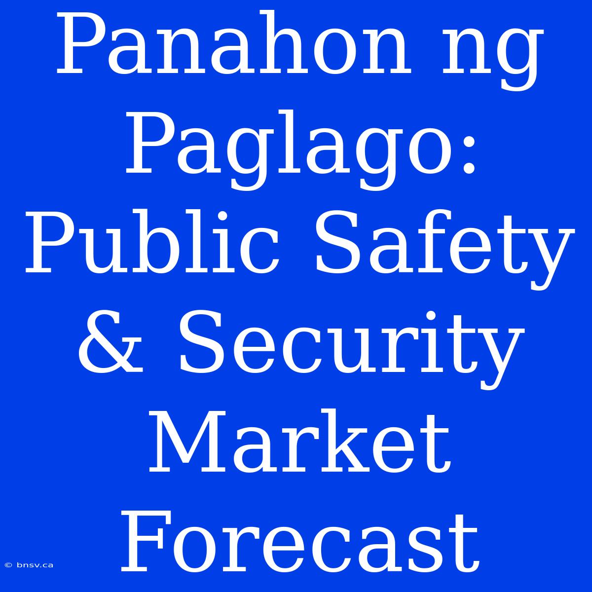 Panahon Ng Paglago: Public Safety & Security Market Forecast