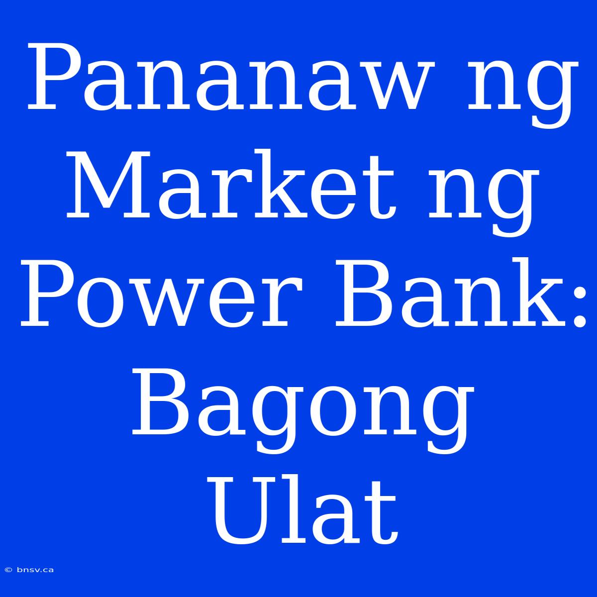 Pananaw Ng Market Ng Power Bank: Bagong Ulat