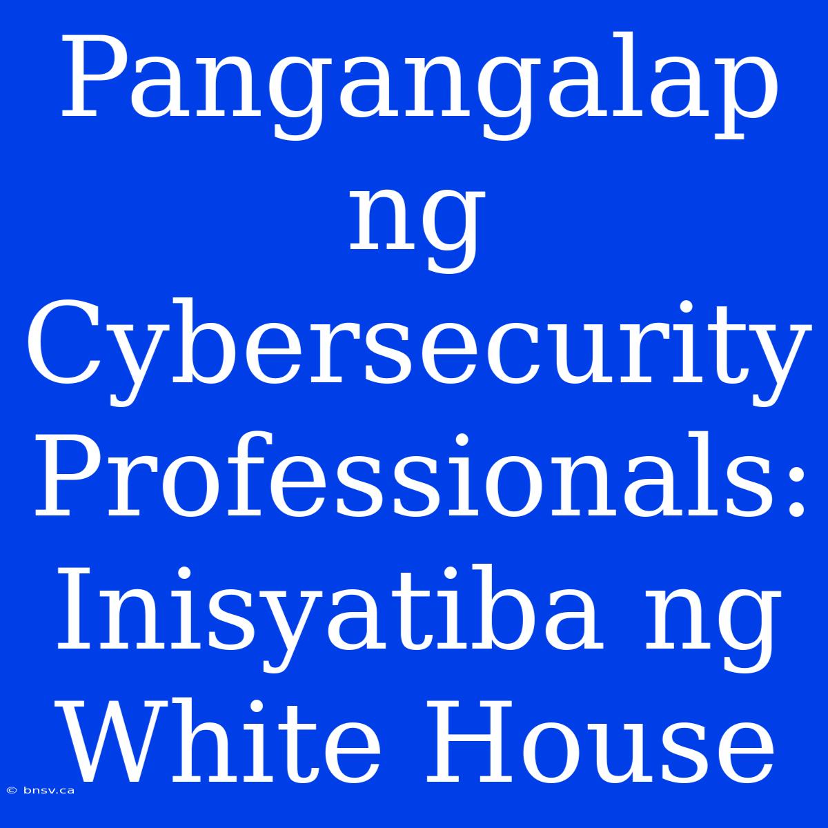 Pangangalap Ng Cybersecurity Professionals: Inisyatiba Ng White House