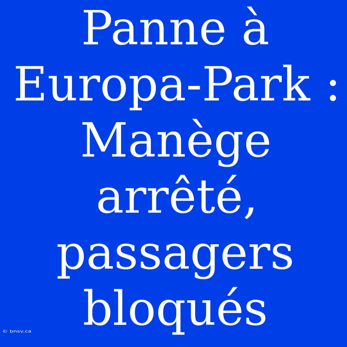 Panne À Europa-Park : Manège Arrêté, Passagers Bloqués