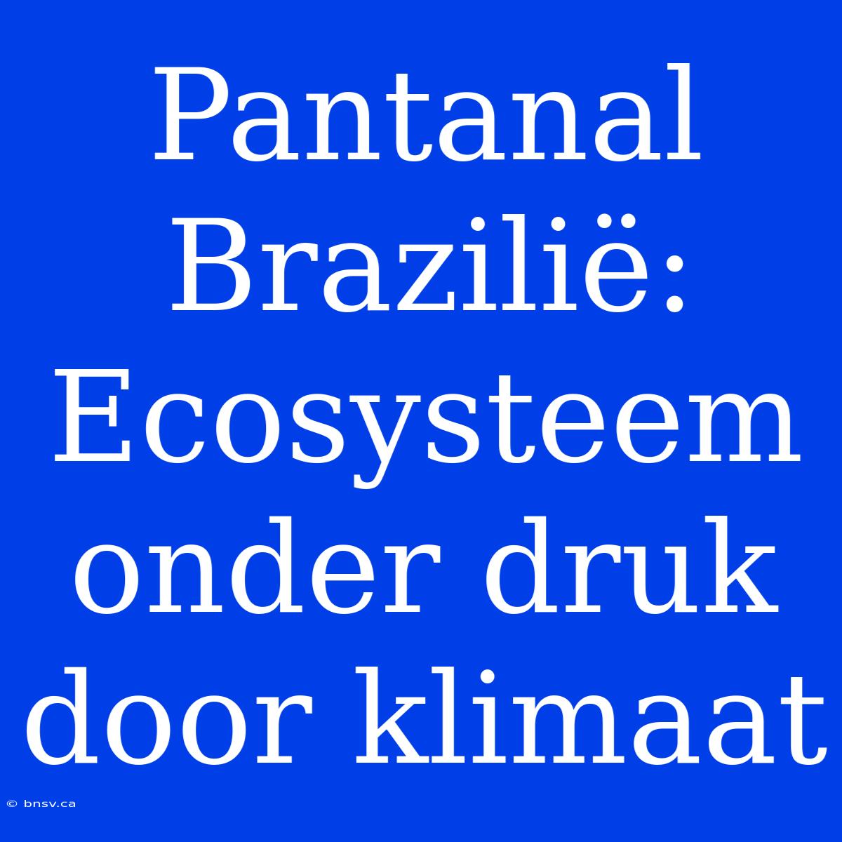 Pantanal Brazilië: Ecosysteem Onder Druk Door Klimaat