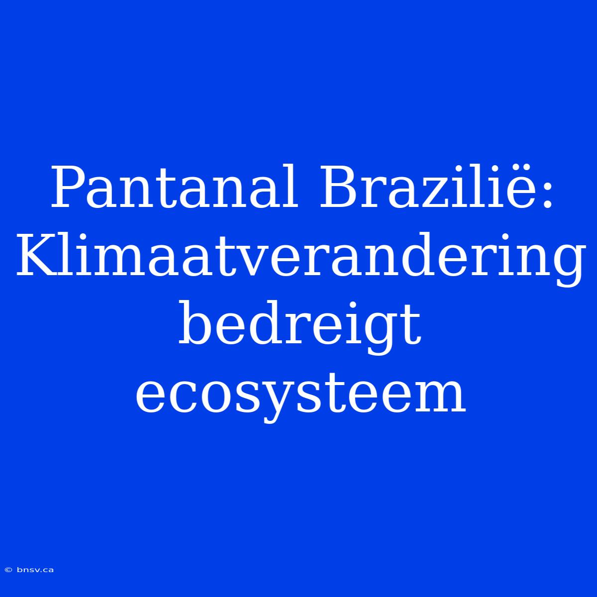 Pantanal Brazilië: Klimaatverandering Bedreigt Ecosysteem