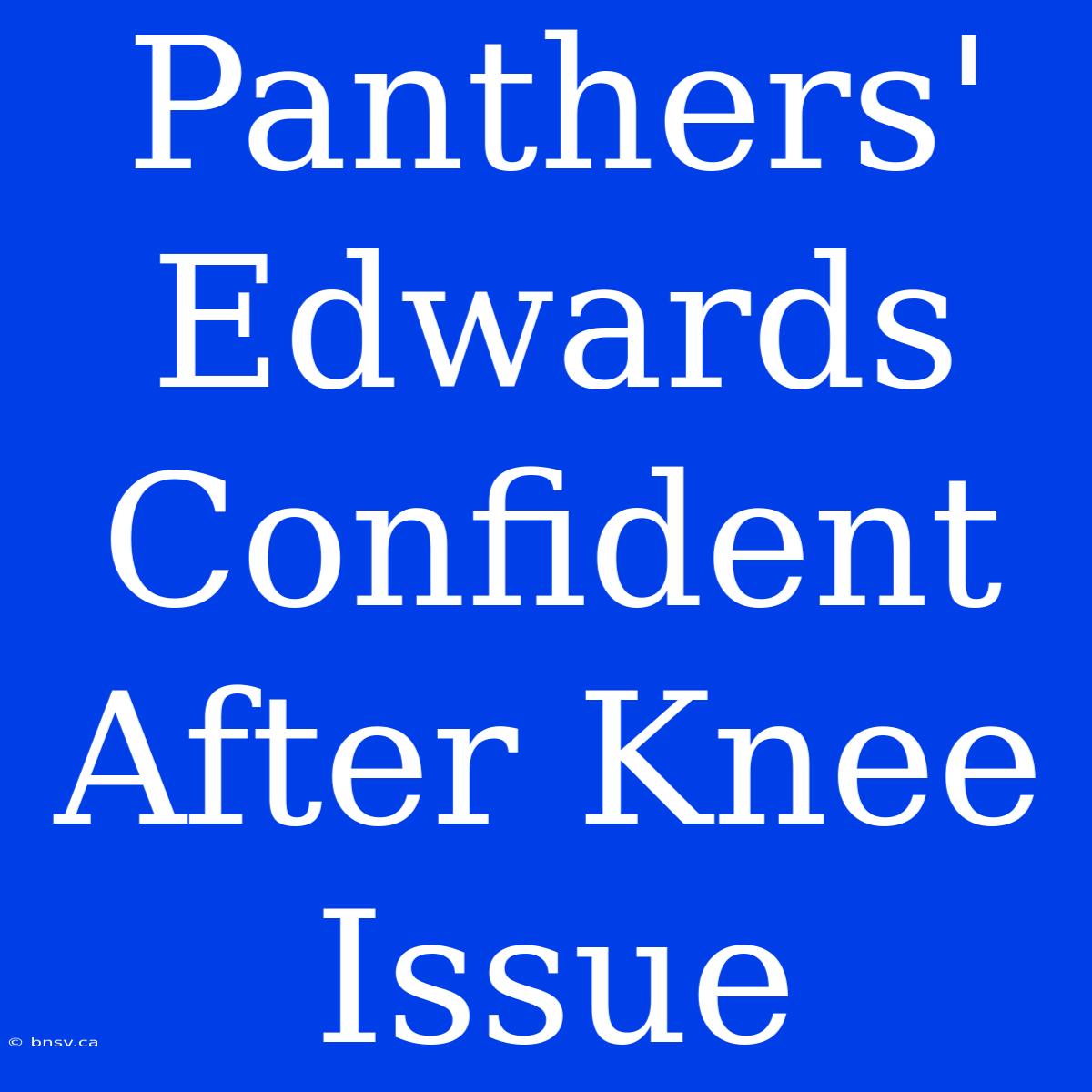 Panthers' Edwards Confident After Knee Issue