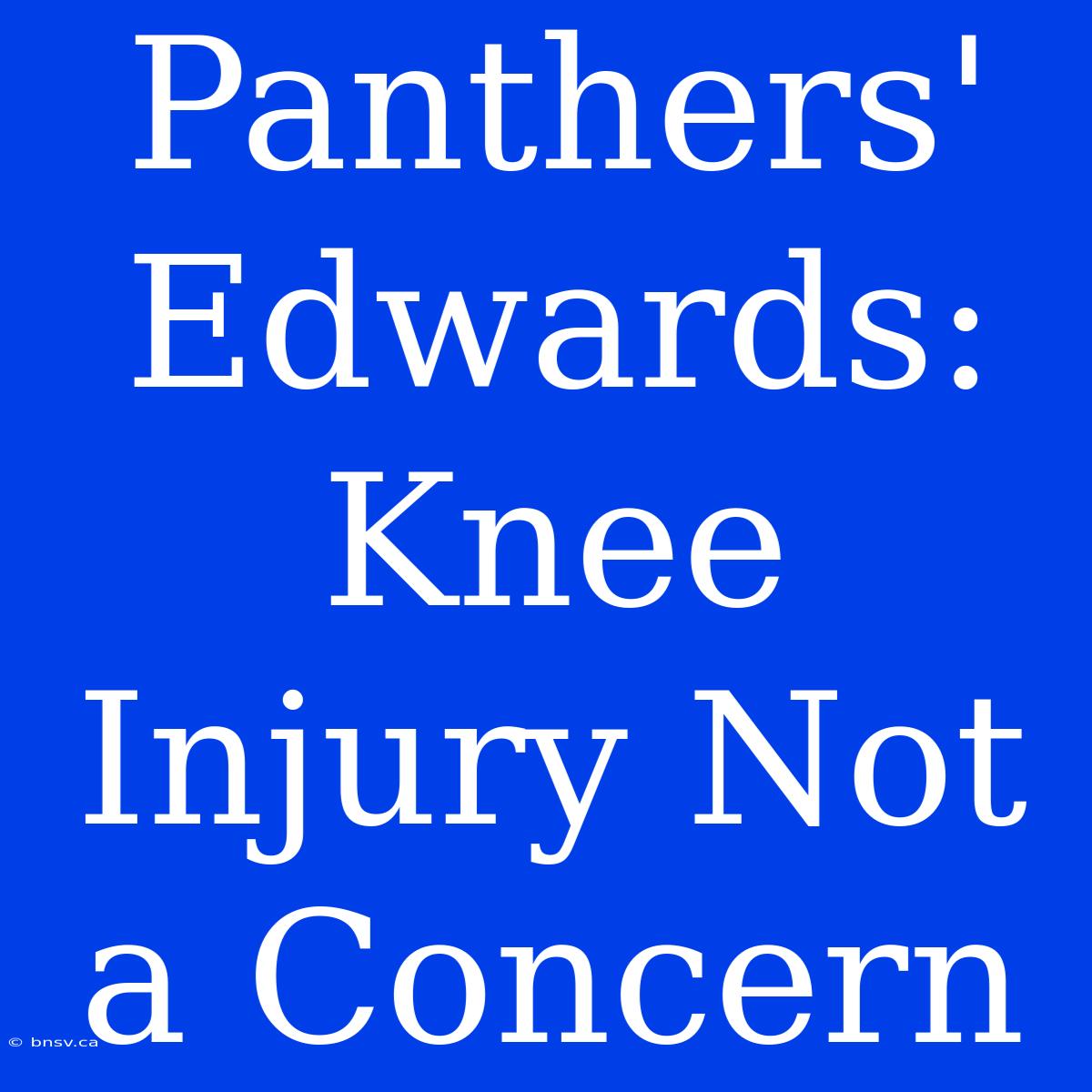 Panthers' Edwards: Knee Injury Not A Concern