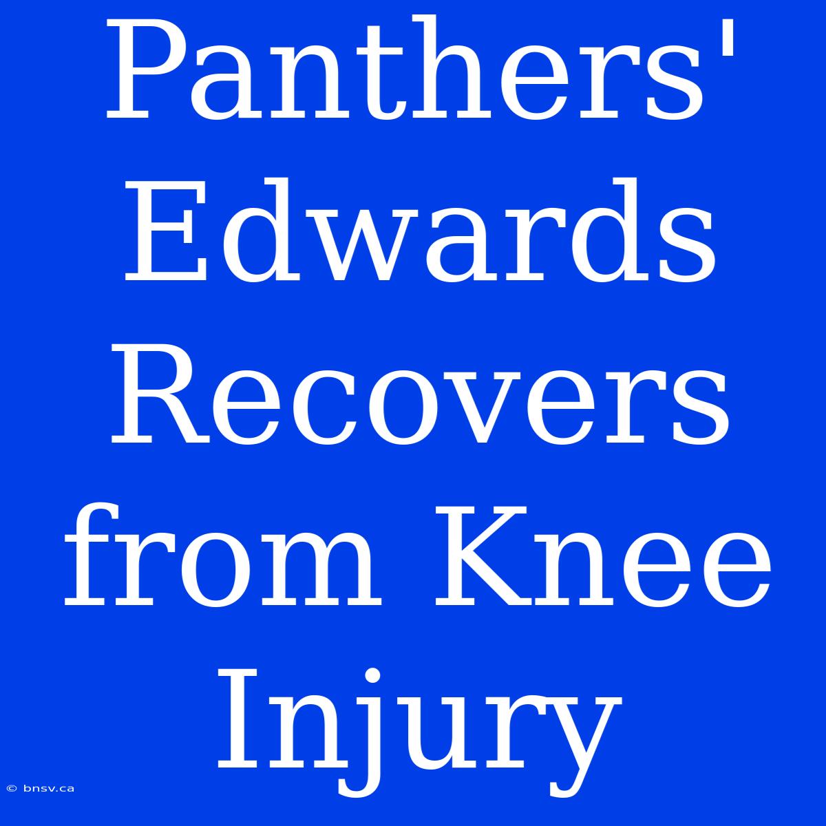 Panthers' Edwards Recovers From Knee Injury