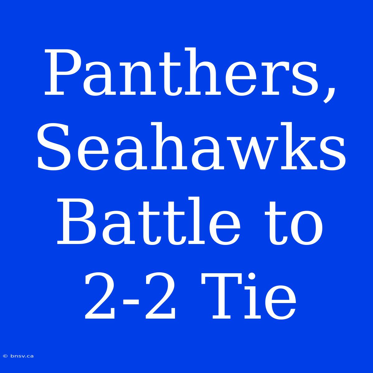 Panthers, Seahawks Battle To 2-2 Tie