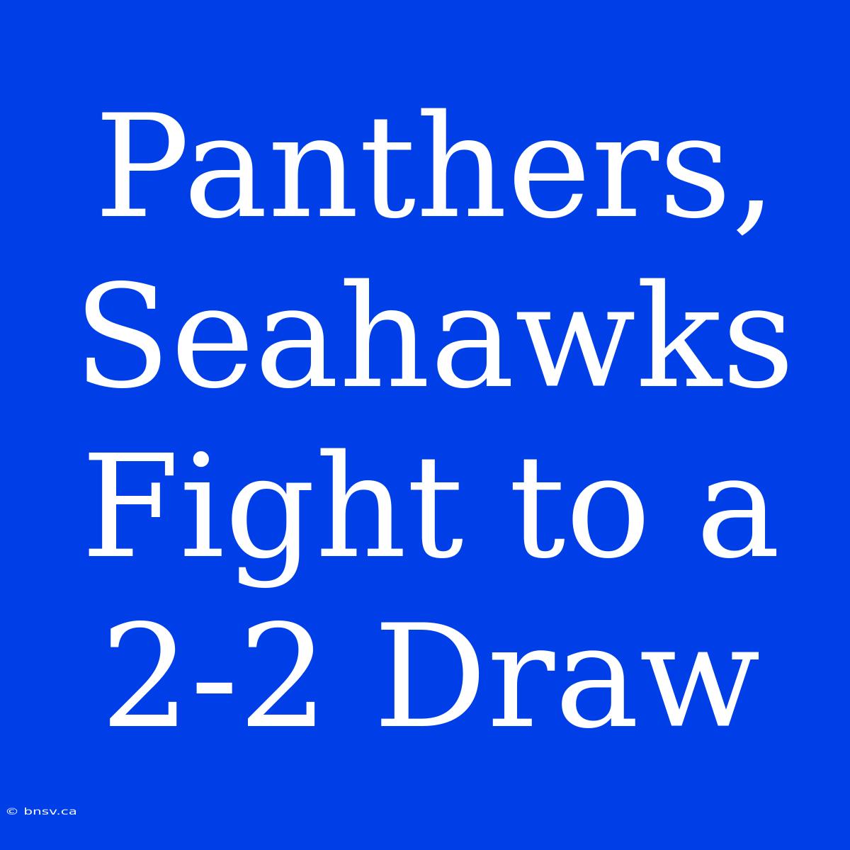 Panthers, Seahawks Fight To A 2-2 Draw