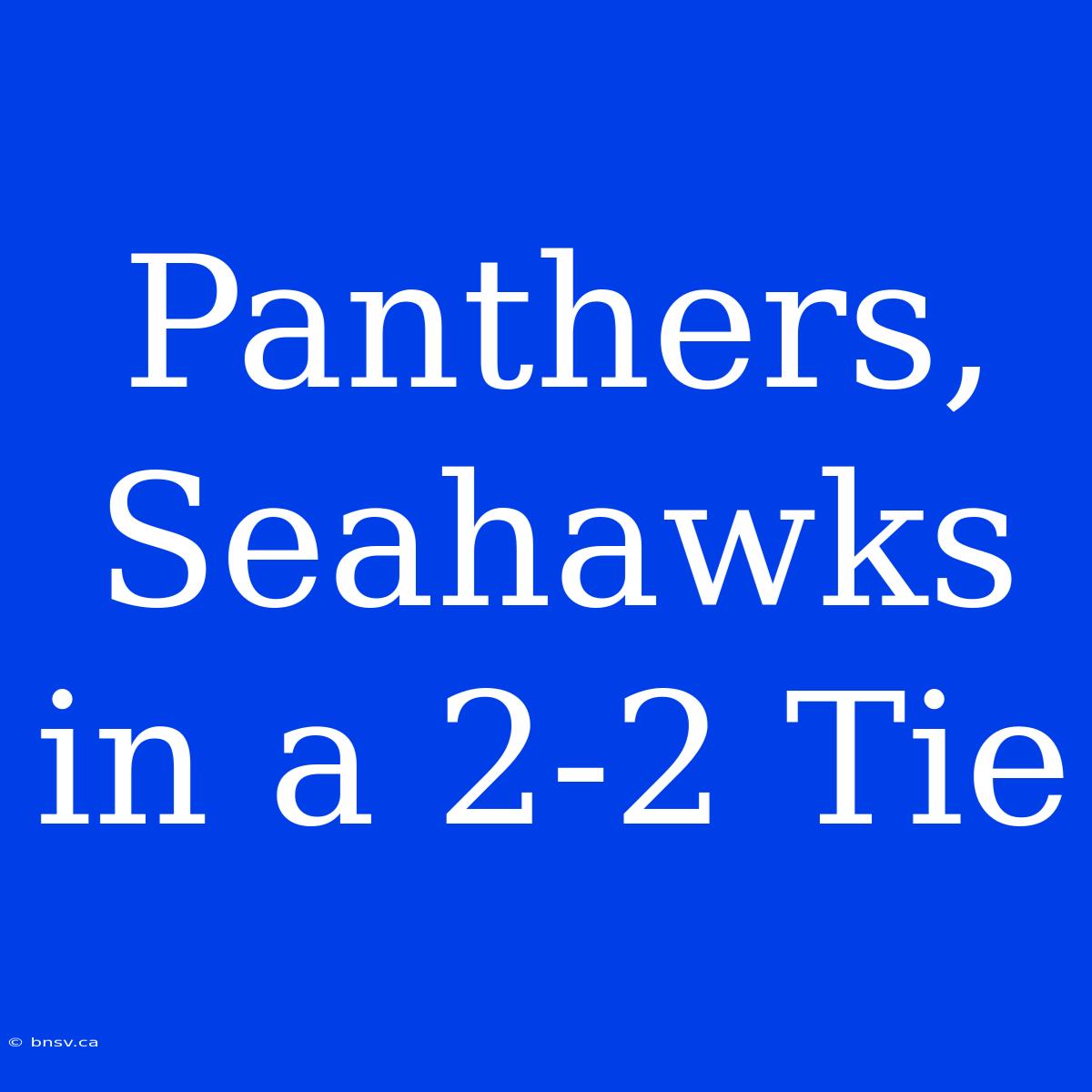 Panthers, Seahawks In A 2-2 Tie