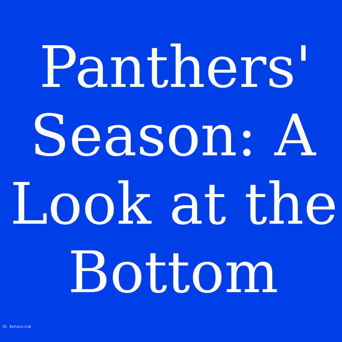 Panthers' Season: A Look At The Bottom