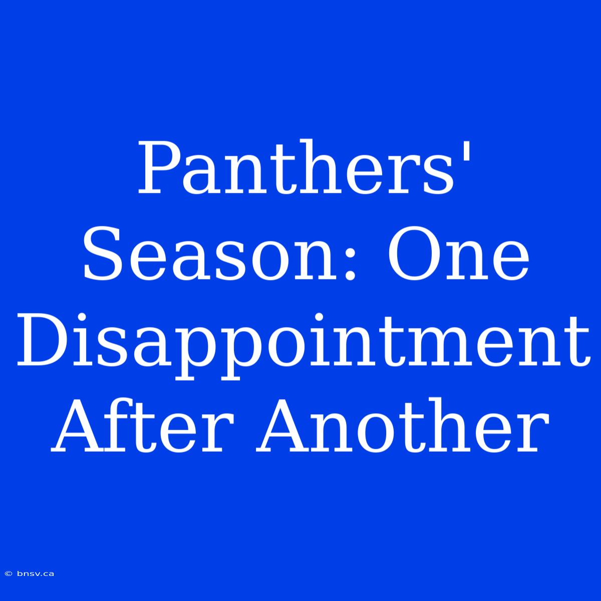 Panthers' Season: One Disappointment After Another