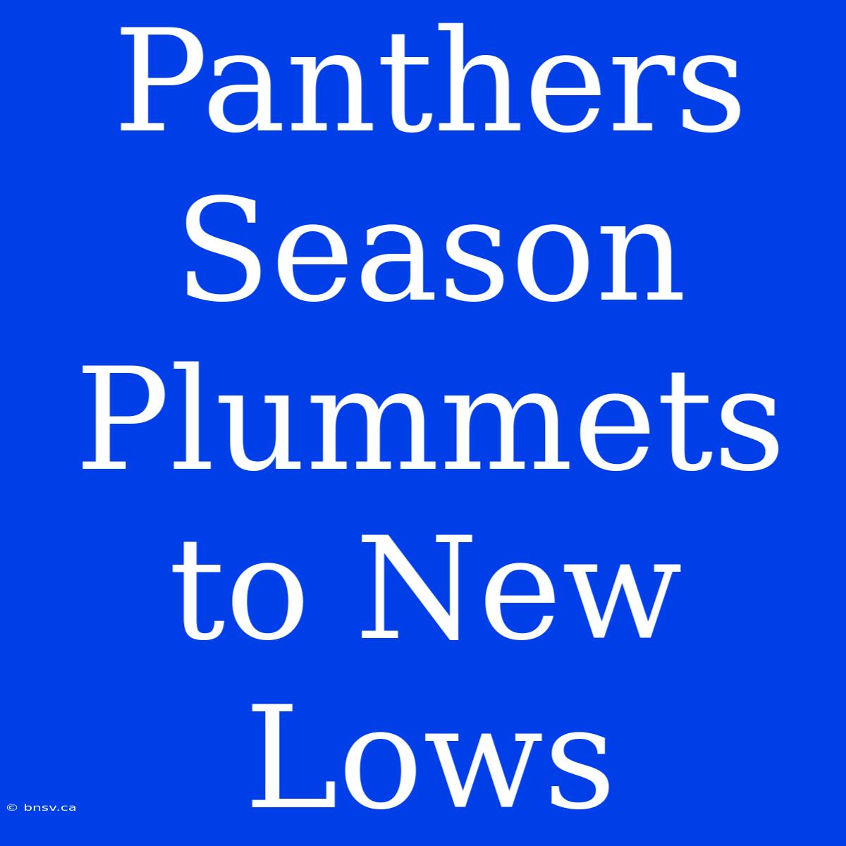 Panthers Season Plummets To New Lows