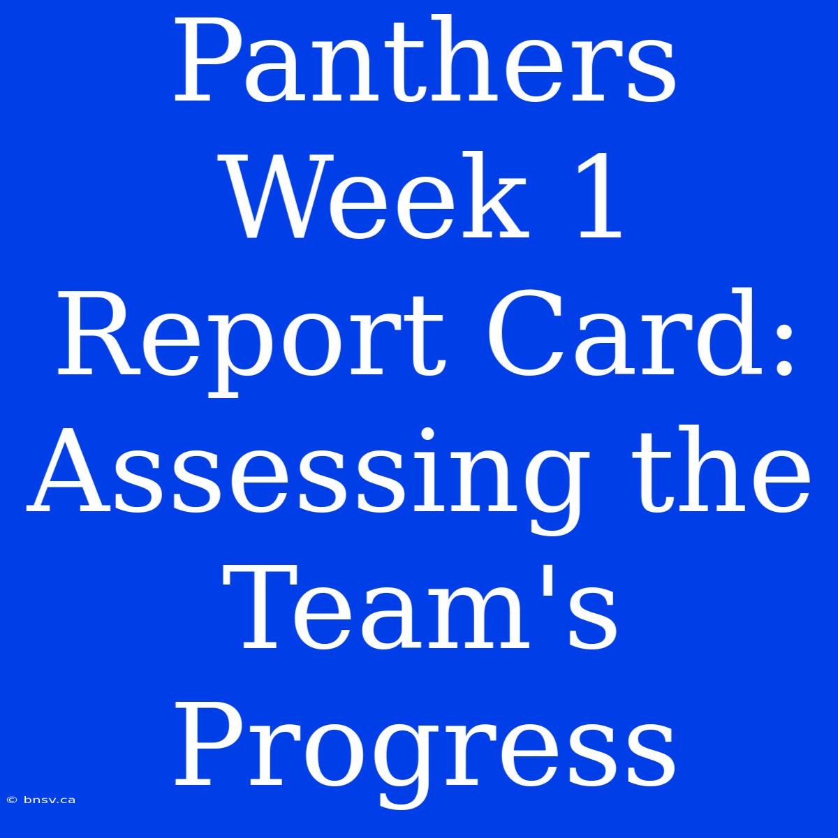 Panthers Week 1 Report Card: Assessing The Team's Progress