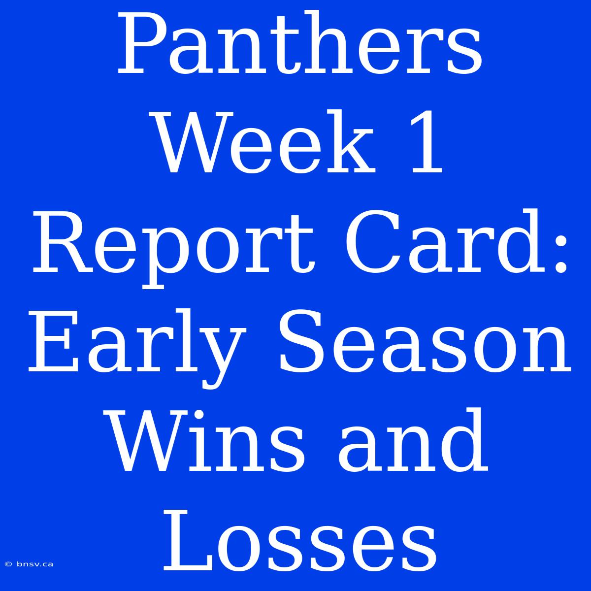 Panthers Week 1 Report Card: Early Season Wins And Losses