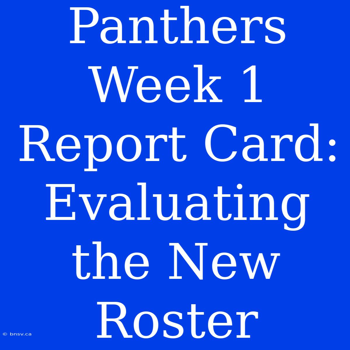 Panthers Week 1 Report Card: Evaluating The New Roster