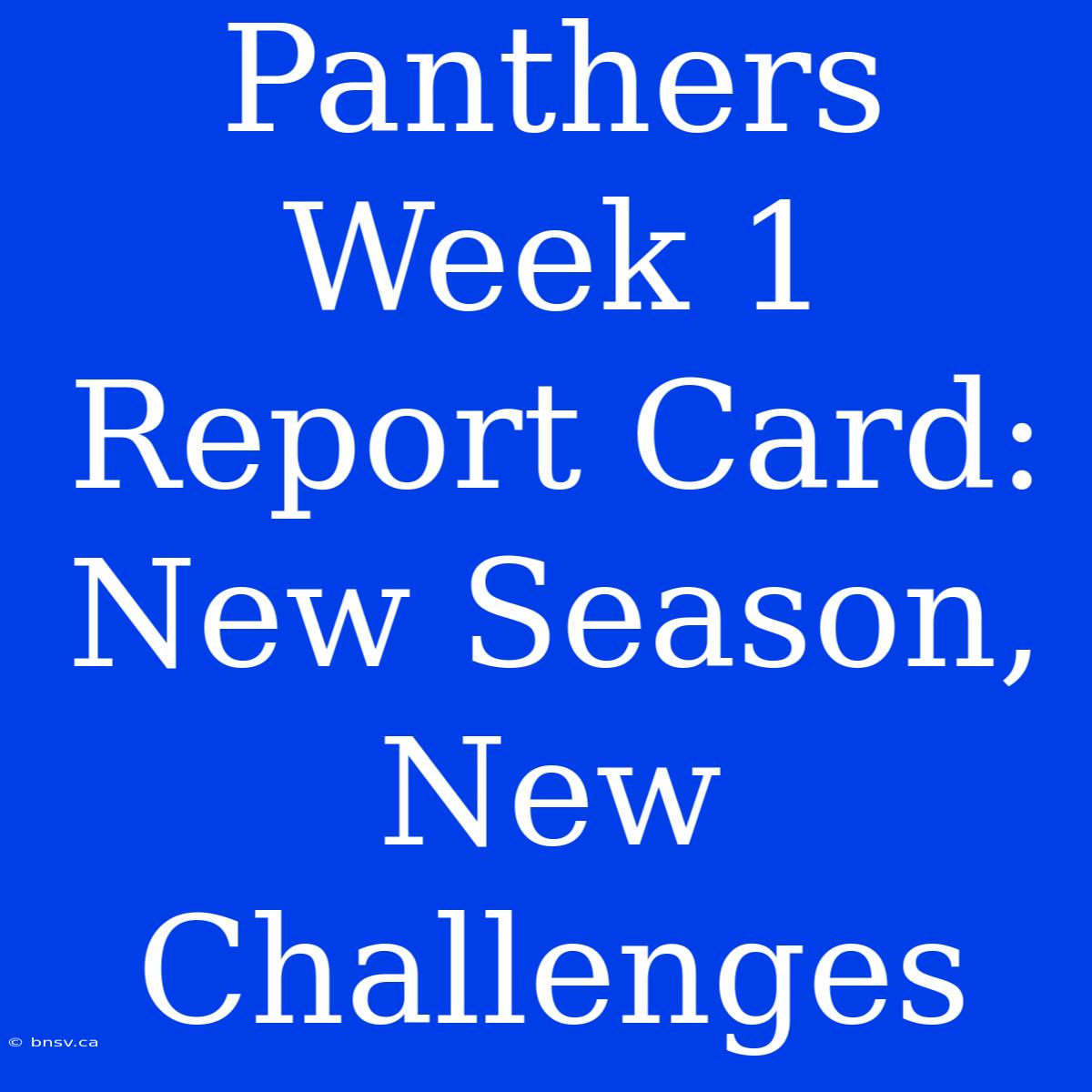 Panthers Week 1 Report Card: New Season, New Challenges