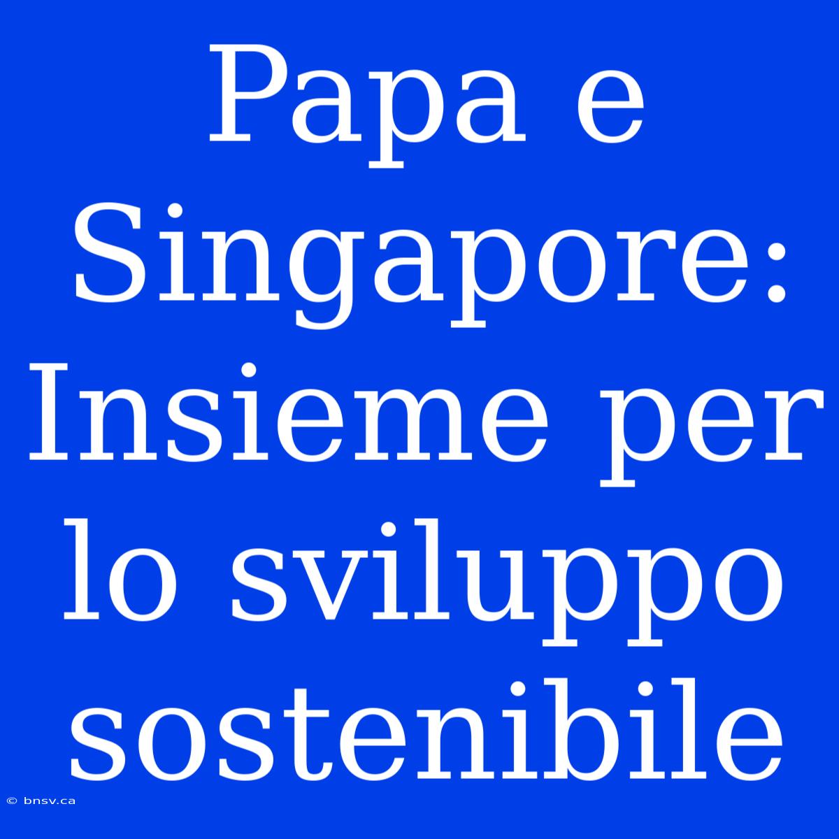 Papa E Singapore: Insieme Per Lo Sviluppo Sostenibile