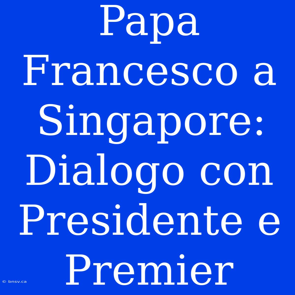 Papa Francesco A Singapore: Dialogo Con Presidente E Premier