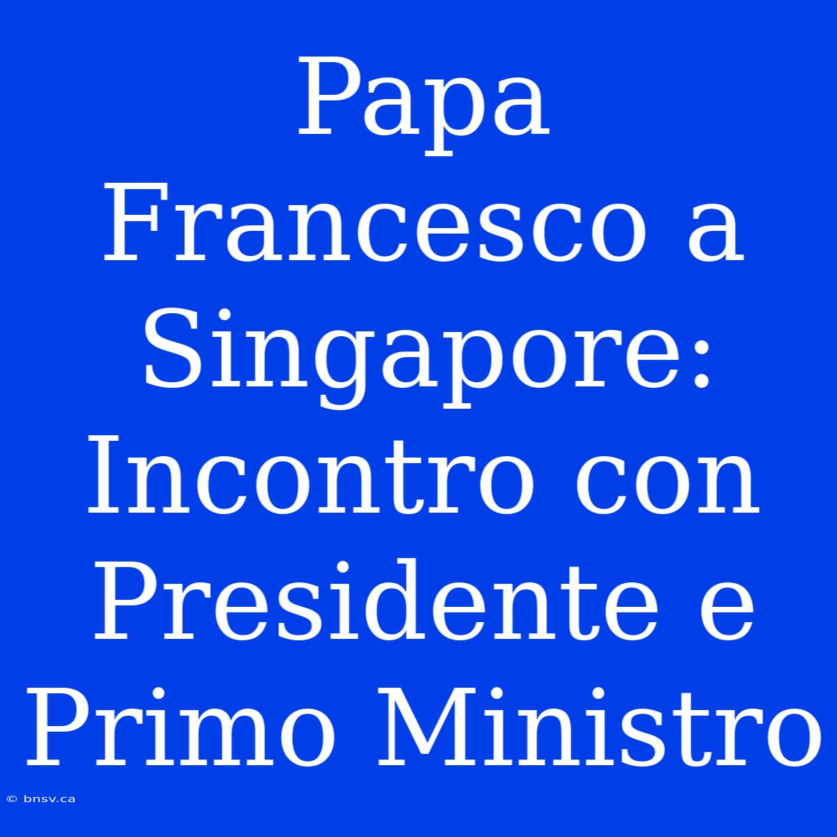 Papa Francesco A Singapore: Incontro Con Presidente E Primo Ministro