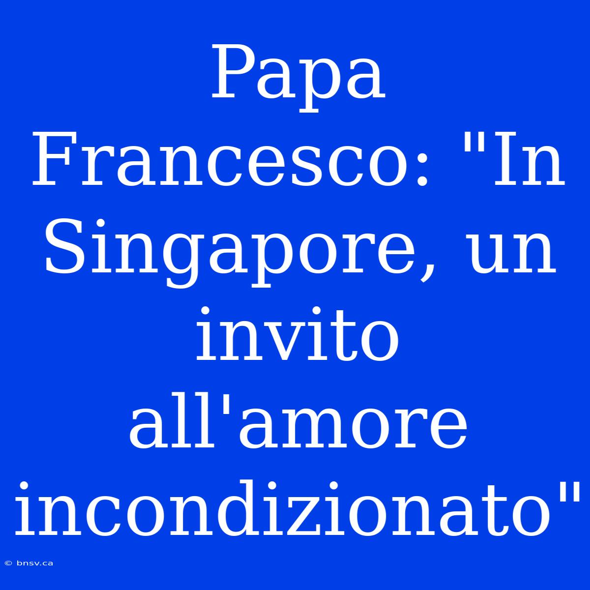 Papa Francesco: 