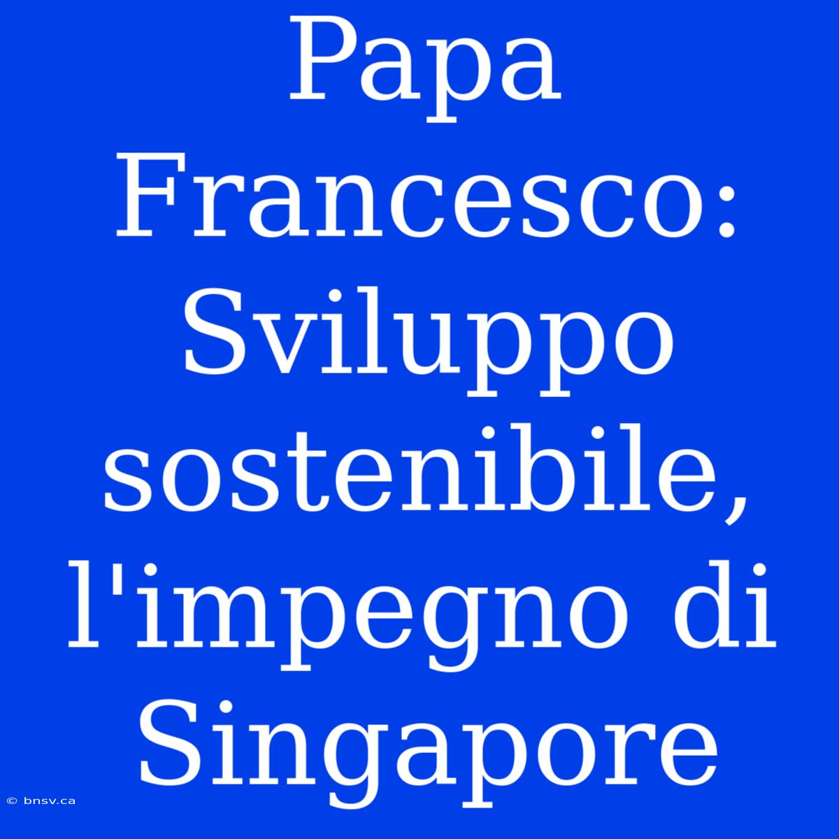 Papa Francesco: Sviluppo Sostenibile, L'impegno Di Singapore